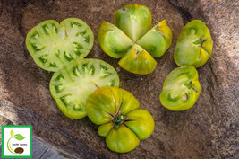 New Fresh 50 Seeds Dorothys Green Tomato Juicy Tomatoe Vegetable Garden - $7.00
