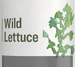 WILD LETTUCE - Natural Respiratory Support &amp; Sleep Aid Tonic Tincture USA - £19.61 GBP+