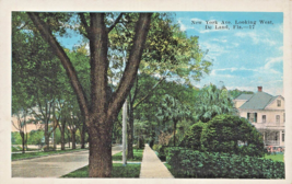 De Land Florida~New York Avenue Looking WEST~1920s Postcard - £6.19 GBP