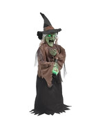 Home Accents Holidays 3ft. Halloween Animated LED Indoor Witch Move and ... - $128.55 CAD