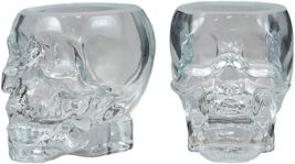 Set of 2 Translucent Acrylic Skeleton Skull Face Liquor Shot Glass Shooters - €17,71 EUR