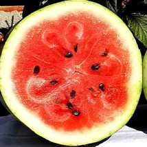 SRN Moon And Star Watermelon Seeds Heirloom Watermelon Seeds Non Gmo Garden - $8.95