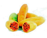 Banana Passionfruit Seeds (Passiflora Mollissima) 10 Seeds - £5.93 GBP