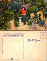 One(1) Florida Miami Tropical Hobbyland Zoo Sunken Garden 1930-1945 VTG Postcard - £6.64 GBP