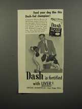 1953 Armour Dash Dog Food Ad - Springer Spaniel Mister Brown of Meliotus - £14.50 GBP