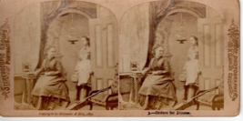 Antique Stereoscope Stereoscopic Card Melander &amp; Bro. Chicago Humor #3 Servant - £16.73 GBP