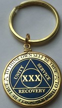 BSP AA Medallion Holder Keychain For Bi-Plate BSP and RecoveryChip Coins - $17.99