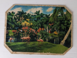 vintage lithograph print of flamingos on cardboard art decor - £15.47 GBP