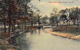 Salt Creek Farmer City Illinois 1910c postcard - £5.16 GBP