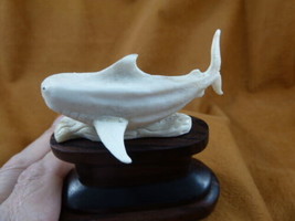 Shark-17 medium Great White Shark display of shed antler figurine Bali carving - £48.91 GBP