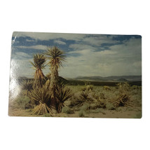 Endless Suntanned Desert, San Bernadino, CA, vintage postcard, 1958 - £8.00 GBP