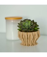 Legs Succulent and Cactus Planter Pot - £9.76 GBP