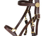 Horse Australian Brown Premium Leather Light Halter Bridle w/ Reins 110B... - $59.39