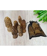 Morel Mushrooms, Bag of Morel Mushrooms, Wooden set of 3 Morels Mushroom... - £35.28 GBP