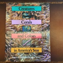 Creatures Corals and Colors in America’s Seas Ocean Gulf Fish Photograph... - £6.82 GBP