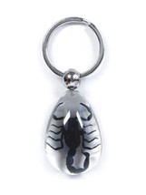 SCORPION Real Keychain Ring Genuine INSECT Bug Clear Key Chain Keyring L... - $11.87