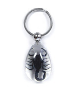 SCORPION Real Keychain Ring Genuine INSECT Bug Clear Key Chain Keyring L... - $225.52 MXN
