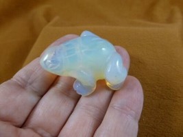 (Y-FRO-583) little White Albino FROG frogs gemstone CARVING figurine LOV... - $14.01