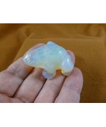 (Y-FRO-583) little White Albino FROG frogs gemstone CARVING figurine LOV... - £10.95 GBP