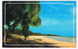 Postcard Florida Colorful Tropical Beach - £2.33 GBP