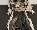 Easter Unlimited Fun World Horned Skeleton Skull Mask Hood Vtg Halloween... - $19.34