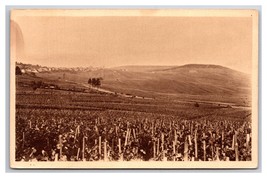 Birds Eye VIew White Grape Vineyard Cramant France UNP DB Postcard V22 - £6.07 GBP