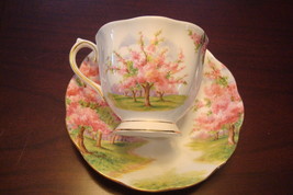 Royal Albert cup and saucer made in England, &quot;Blossom Time&quot; pattern[a*5-b2] - £42.52 GBP