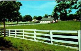 Horse Farm in the Heart of the Bluegrass Region Lexington Kentucky Postcard - £16.32 GBP