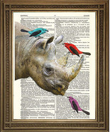 Rhinocéros &amp; Oiseaux Dictionnaire Imprimé : Amis Vintage Page Art - £5.36 GBP