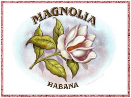 4743.Cuban cigars.magnolia.habana.tabaco.POSTER.decor Home Office art - £13.49 GBP+