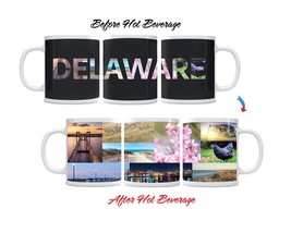Color Changing! State of Delaware ThermoH Exray Ceramic Coffee Mug - £11.84 GBP
