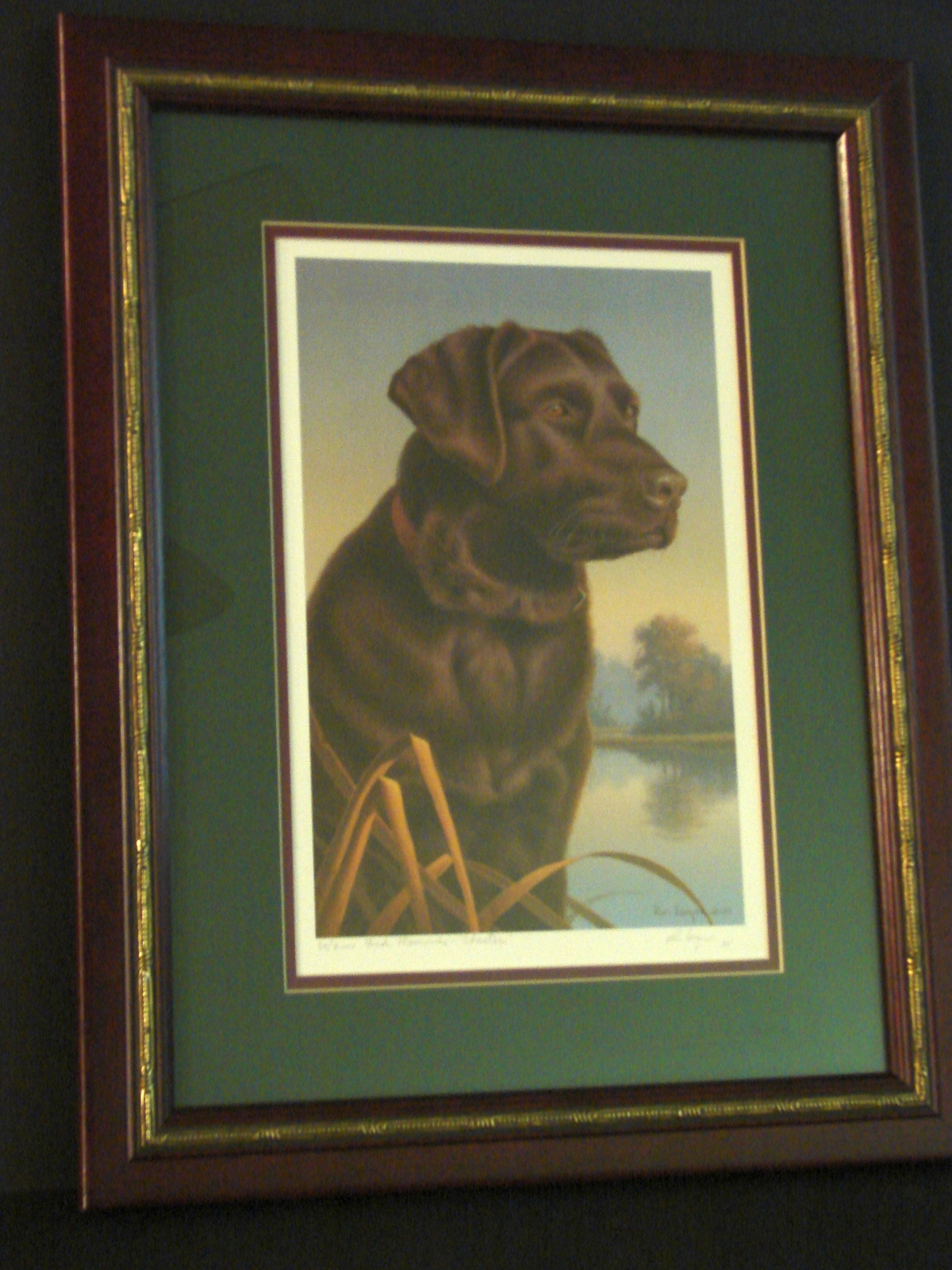 Chocolate Labrador Framed Ltd Ed Print Pencil Signed By Ronald J Louque 1994   - $23.99