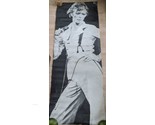 David Bowie Musician Pacific Deisign Mill Valley Poster 26 1/2&quot; X 71&quot;  - $79.19