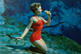 Weeki Wachee Mermaids Florida Postcard Lady Eats Banana Underwater Act Chrome - £11.31 GBP