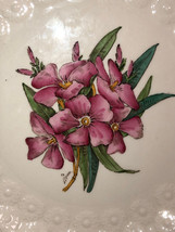 Spode Bermuda Flowers Oleander 9 Inch Plate Mint - $26.24