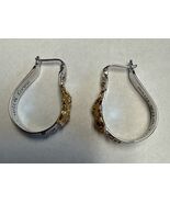 BGE Bradford Exchange 925 Sterling Silver Gold Vermeil Cat Lovers Earrin... - $450.89 MXN