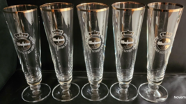 Warsteiner  5 Pilsner Beer Glasses .2 L Germany Eine Königin Unter Den Bieren 8&quot; - £44.45 GBP
