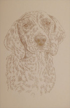 Plott Hound Dog Art Portrait Print #20 Kline adds dog name free. WORD DR... - £39.29 GBP
