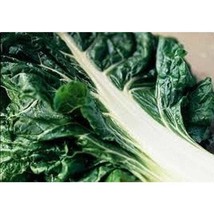 Best SELLER USA 10 Seeds Swiss Chard Seeds - $5.60