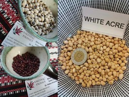 Cowpea - Black-eyed-pea Sortiment - 3 Varieties- 50+ seeds - I. - £3.28 GBP