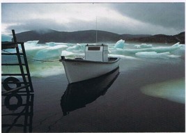Postcard Pacquet Arctic Ice Drifts Newfoundland &amp; Labrador 4 3/4 x 6 3/4 - £3.88 GBP