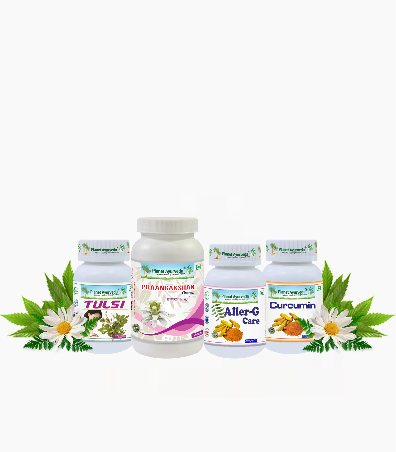 Planet Ayurveda Allergy Care Pack with Free Shipping - $540.00