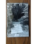 1950&#39;s Postcard Real Photo Jungle Garden New Iberia Louisiana Swamp Peop... - $9.89