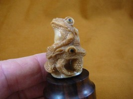 tb-frog-7) pair of Frog Toad Tagua NUT palm figurine Bali detailed carvi... - $49.08