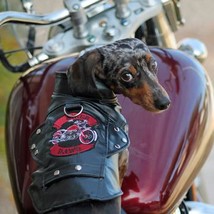 Biker Dawg Motorcycle Dog Jacket - Black - £71.31 GBP
