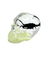 Real BLACK SCORPION In Skull Genuine INSECT Glow In Dark Lucite Paper We... - $589.35 MXN