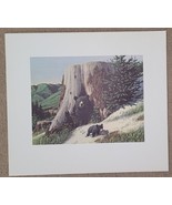 Jack Dumas Mother Bear &amp; Cubs 20 X 22 3/4 Weyerhaueser Wildlife 1960&#39;S A... - $683.67 MXN