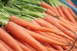 HeirloomSupplySuccess 100 Heirloom Imperator 58 Carrot Seeds - $2.99