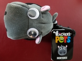 Hortense Hippo Teacher Pet Clip Animal Science Plush Toy Fact Book Schol... - $4.74