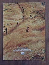 Lilly And Co 1970 Vintage Print Ad Medicine Boy In A Field - $9.89
